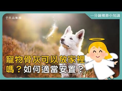 貓咪骨灰可以放家裡嗎|寵物骨灰如何安置？除埋葬外的4個骨灰安置方式，為。